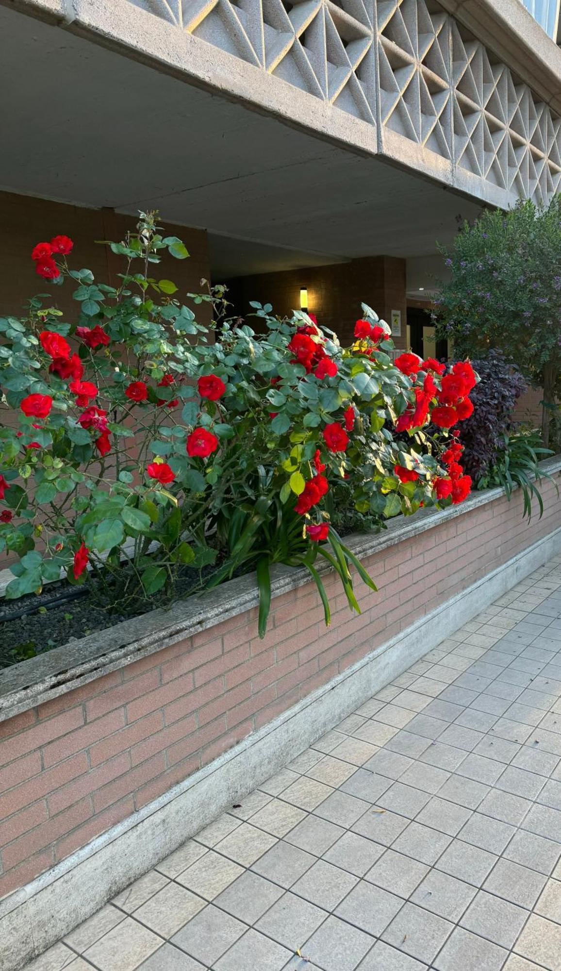 Flaminia Home Rom Exterior foto
